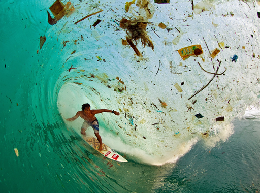 Döbbenetes fotók bolygónk pusztításáról (online könyv)
