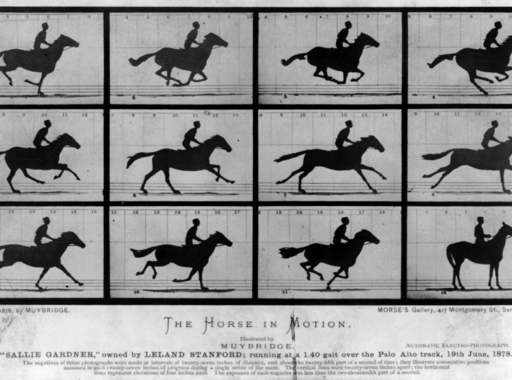 Muybridge lófotóinak története (1878)