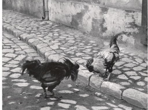 Fotó-kalendárium - André Kertész (1894 - 1985)