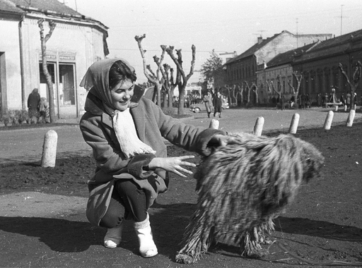 Magyarország 1964-ben - 30 fotó a Fortepan gyűjteményéből