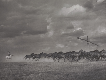 A HÉT FOTÓSA: Vadas Ernő (1899-1962), World Press Photo-díjas fotográfus