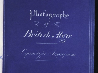 Lapozd át a világ egyik legelső női fotográfusának albumát!