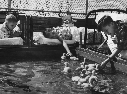 Állatterápia beteg gyerekeknek egy Michigani kórházban (1956) - Francis Miller szívszorító sorozata