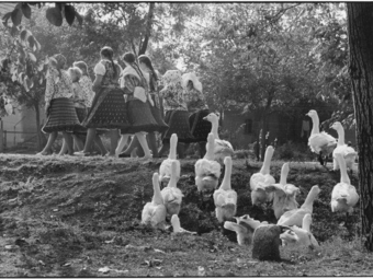 TOP50 – Ők minden idők legjobb fotográfusai (2. rész)