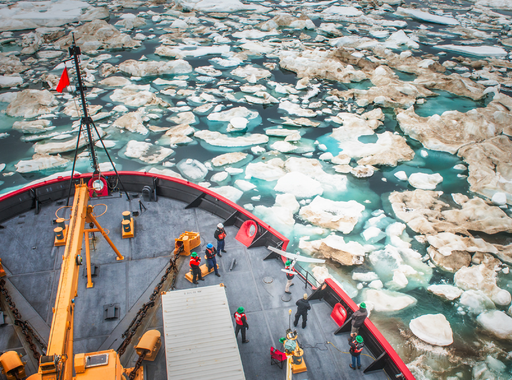 #TimeforNature – Beszélgetés az első magyar World Press Photo díjazott fotográfusnővel