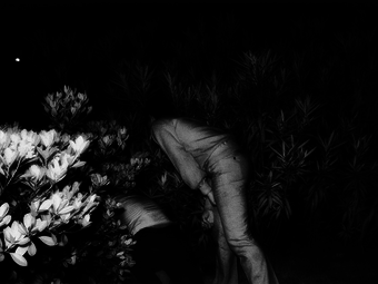 Kohei Yoshiyuki: A park (18+)