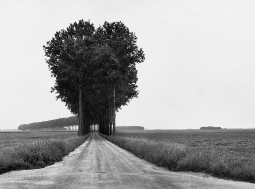 Fotós idézet - Henri Cartier-Bresson (1908 - 2004)