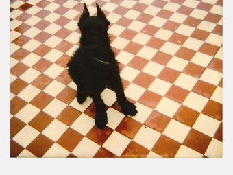 Magyar fotográfusok polaroid képei (142 fotó)