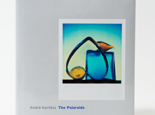 Adventi könyvajánló - André Kertész: The Polaroids