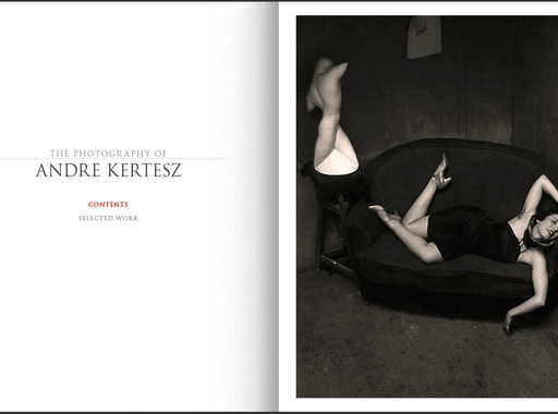 Portfólió – André Kertész (1894 -1985)