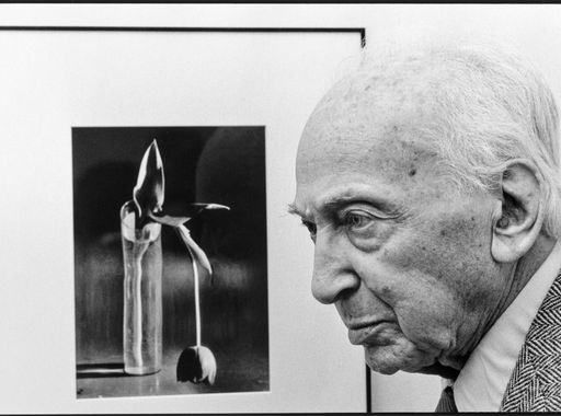 Fotós idézet - André Kertész (1894-1985)