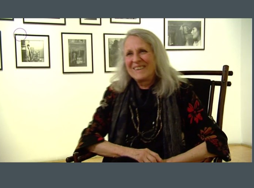Videóinterjú Sylvia Plachyval (Kultikon)