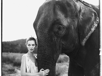 A HÉT FOTÓSA: Válogatás Arthur Elgort világhírű divatfotóiból