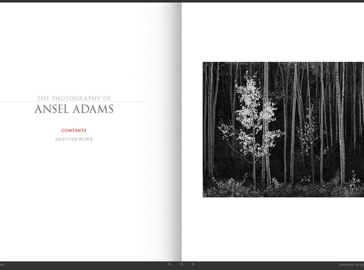 Portfólió – Ansel Adams (1902-1984)
