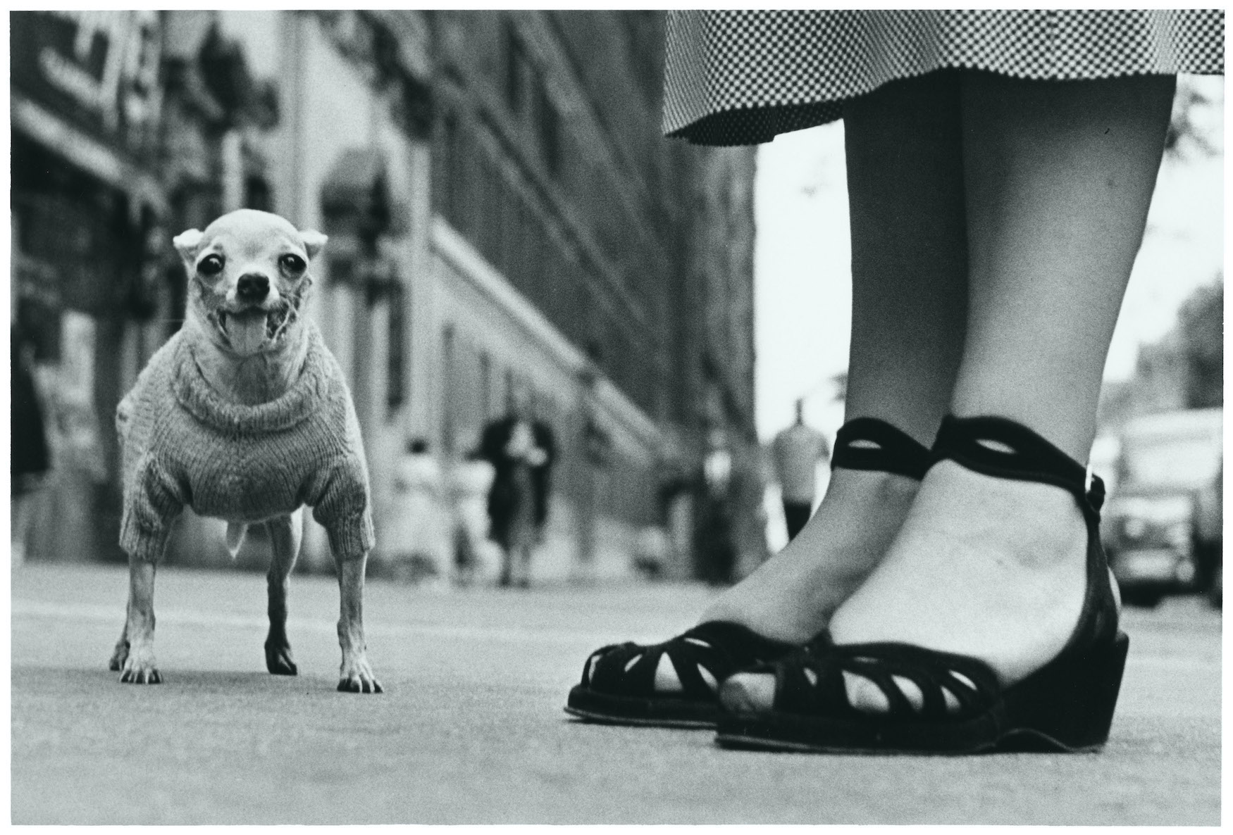Fotó: Elliott Erwitt: New York City, USA, 1946<br />© Elliott Erwitt/MAGNUM PHOTOS, Leica Hall of Fame Award 2023, Leica Gallery Wetzlar 2023