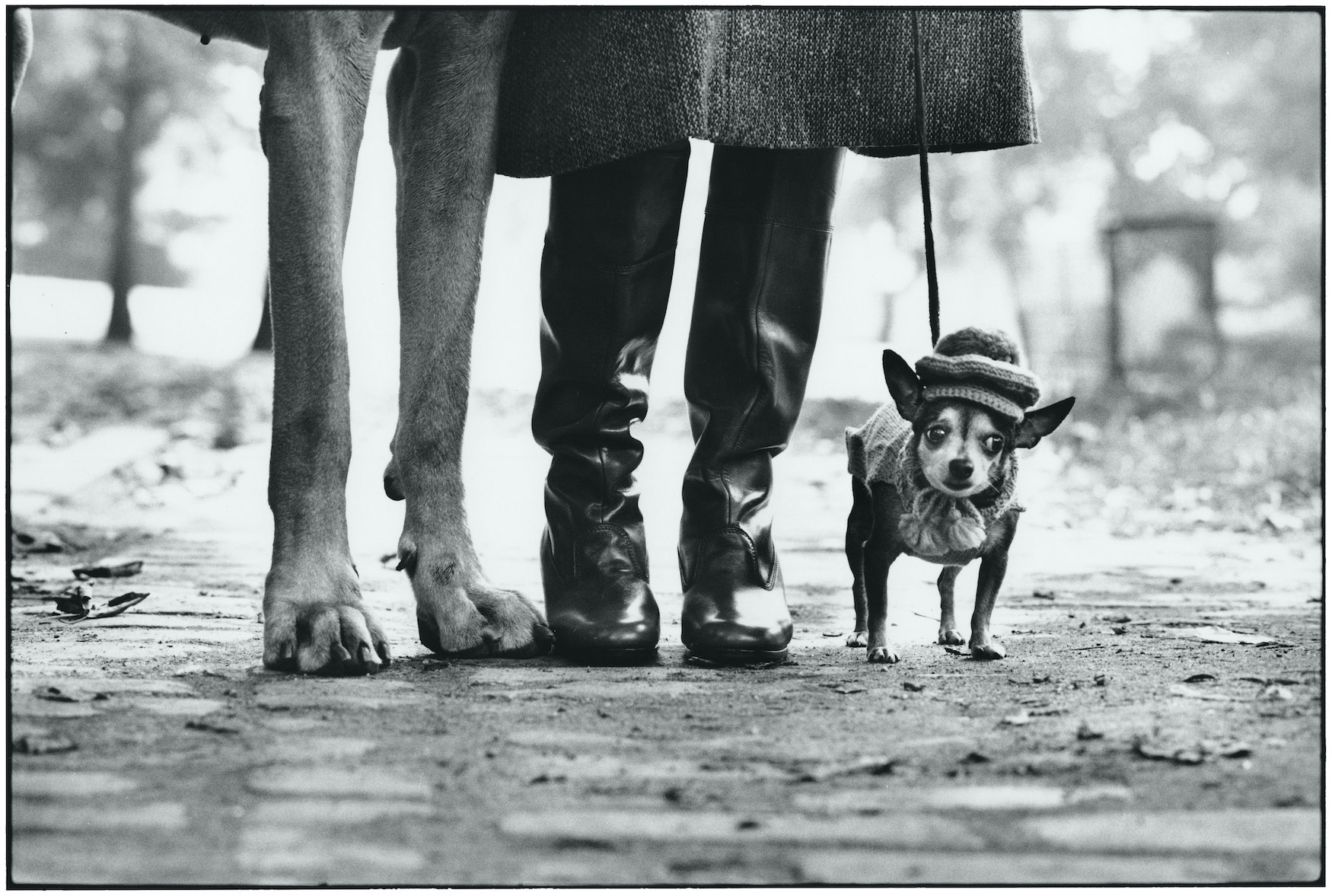 Fotó: Elliott Erwitt: Felix, Gladys, Rover, New York City, USA, 1974<br />© Elliott Erwitt/MAGNUM PHOTOS, Leica Hall of Fame Award 2023, Leica Gallery Wetzlar 2023