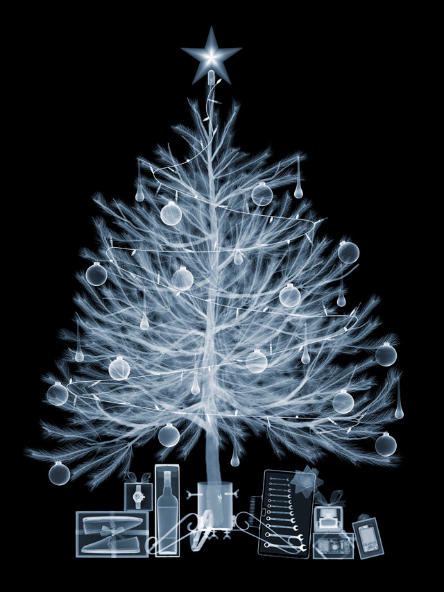 Fotó: Nick Veasey: Karácsonyfa © Nick Veasey / Caters / Picture Media 