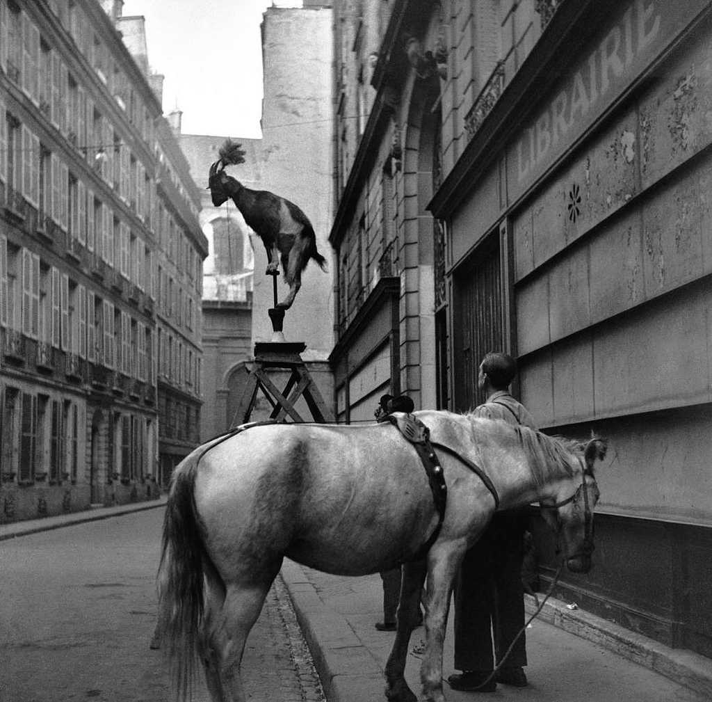 Fotó: Edouard Boubat: Rue Servandoni, Paris, 1948 © Edouard Boubat