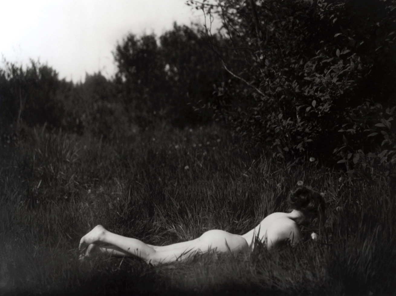 Fotó: Imogen Cunningham: Önarckép, 1906, Platinum print © The Imogen Cunningham Trust, 2012