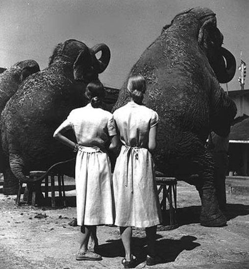 Fotó: Louise Dahl-Wolfe: Twins with elephants, 1947 © Louise Dahl-Wolfe