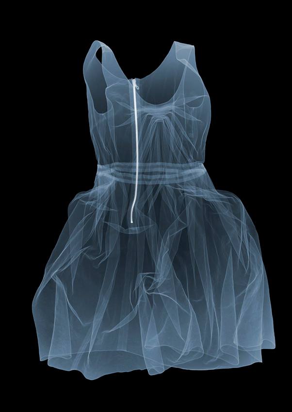 Fotó: Nick Veasey: Lanvin Dress, C-Type Print mounted on Plexi, 2011 © Nick Veasey