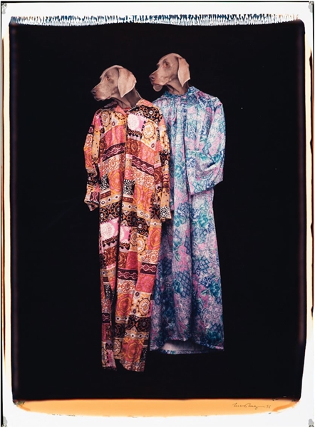 Fotó: William Wegman: Look There, 1996<br />Polaroid<br />0.5 x 0.6 m<br />© William Wegman. Image courtesy of William Wegman.