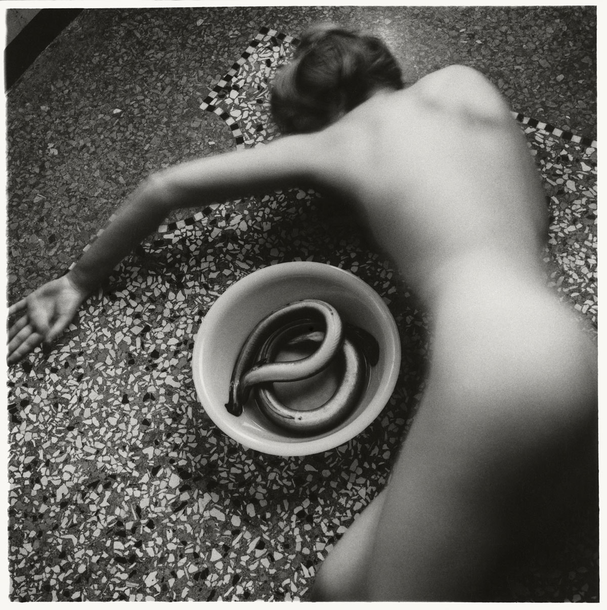 Fotó: Francesca Woodman<br />From Eel series, Venice, Italy, 1978<br />© George and Betty Woodman