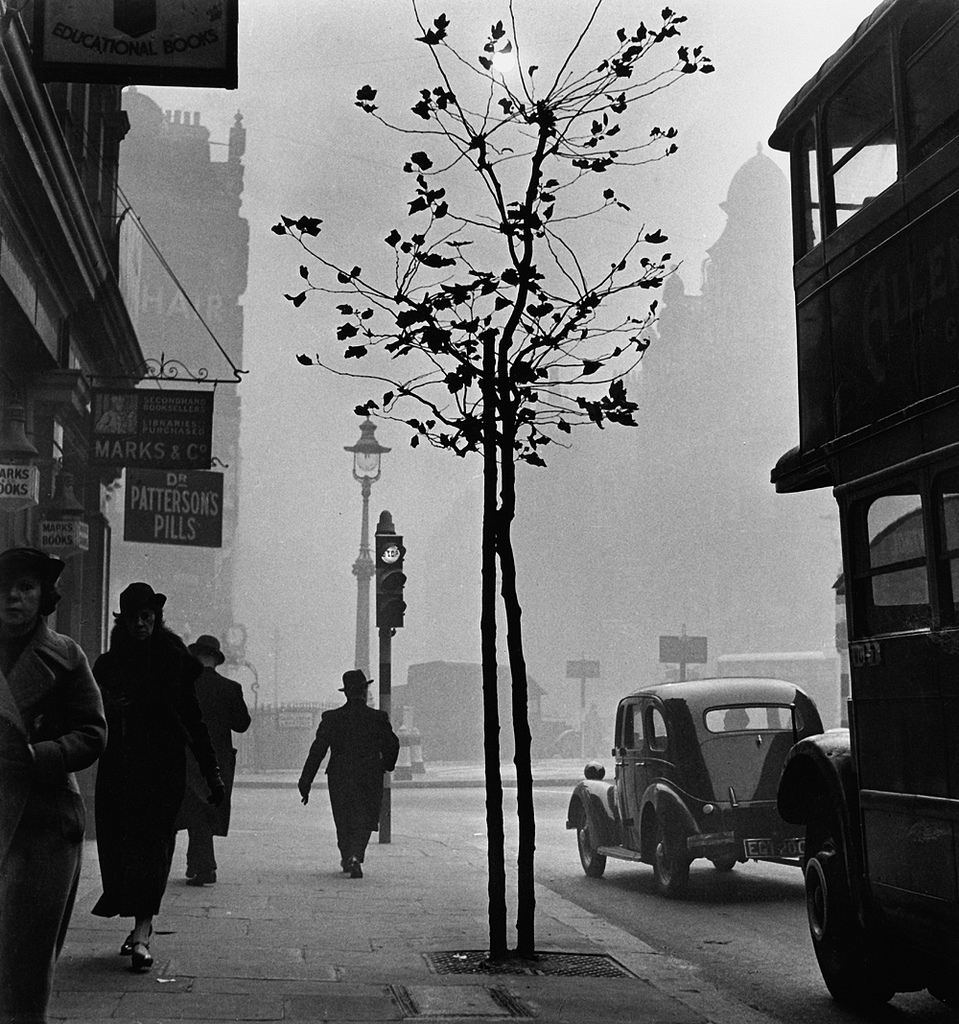 Fotó: Wolfgang Suschitzky: London, 1937 © Wolfgang Suschitzky