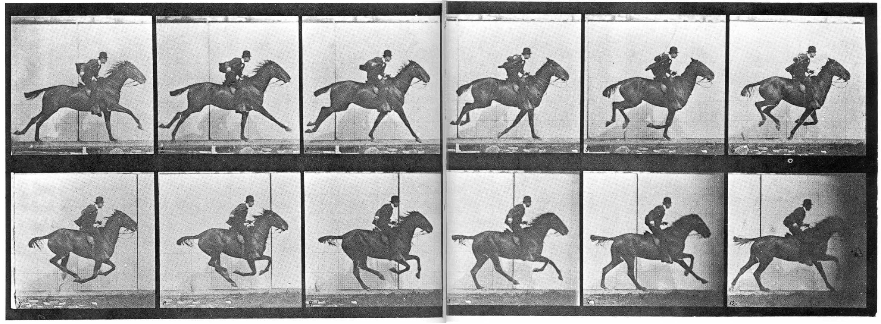 muybridge-horse2.jpg