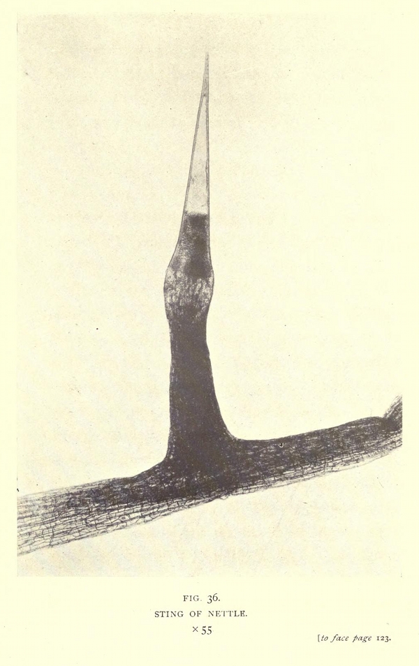 smith02.jpg