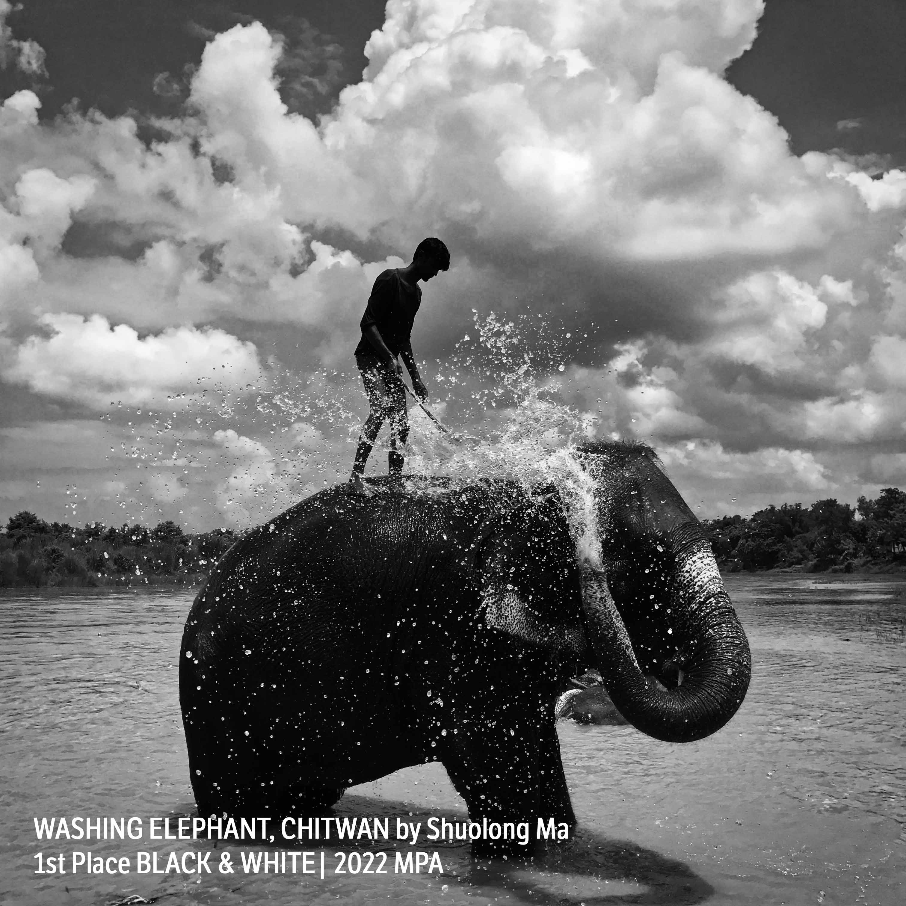 b_w_washing_elephant_chitwan_by_shuolong_ma_iphone7.jpg