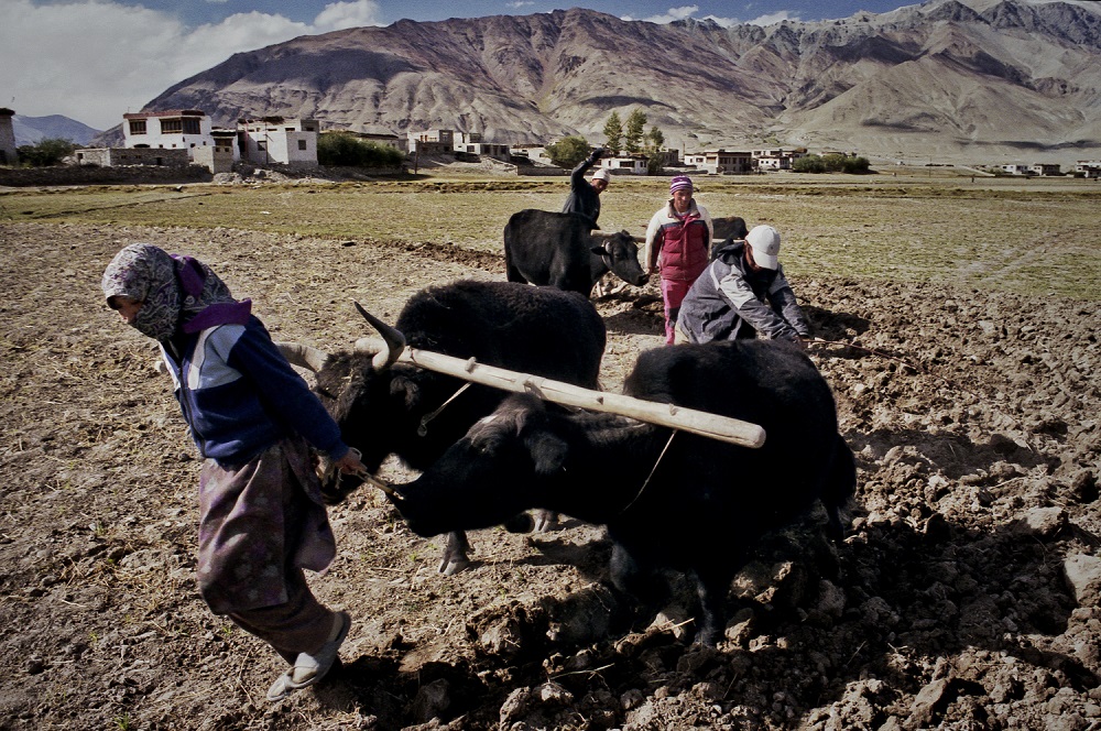 Fotó: Bácsi Róbert László: Részlet a Zanskar sorozatból, 2007