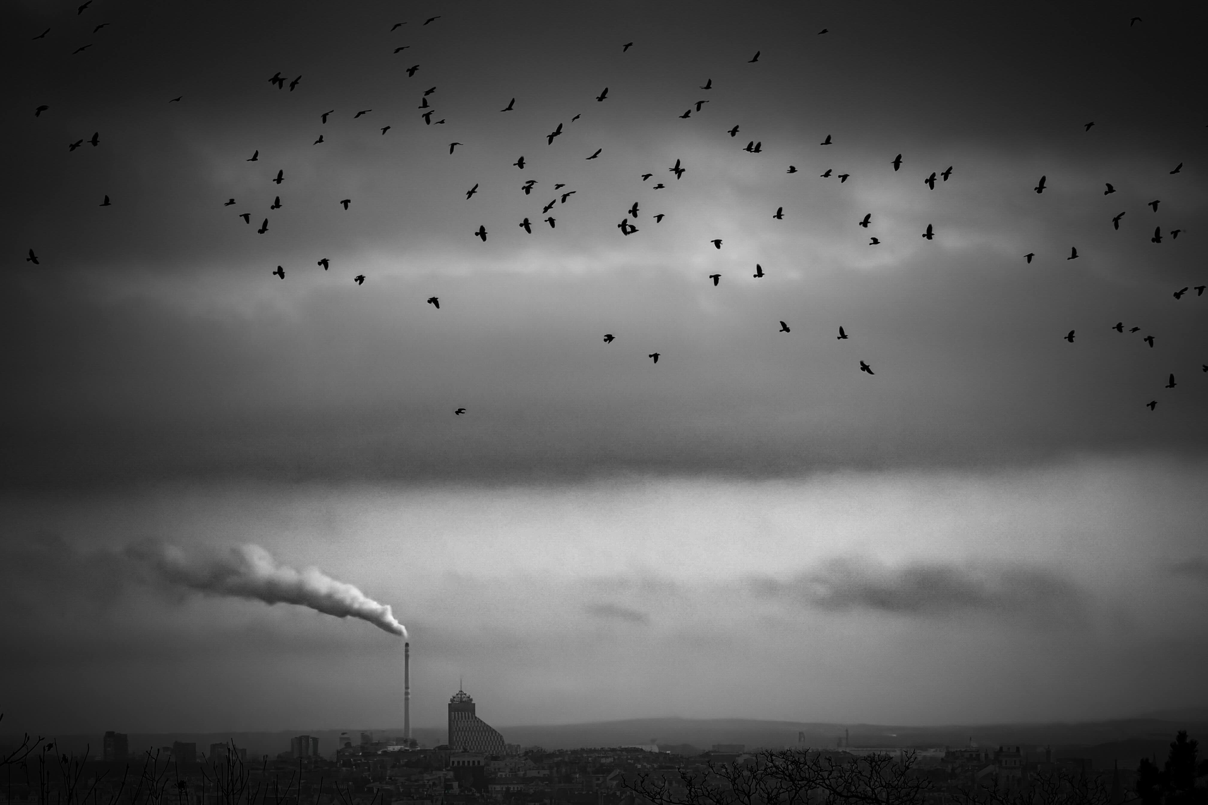Fotó: Adrian Beasley<br />Shot on iPhone 17 Pro<br />1st Place – Cityscape<br />IPPAWARDS 2026