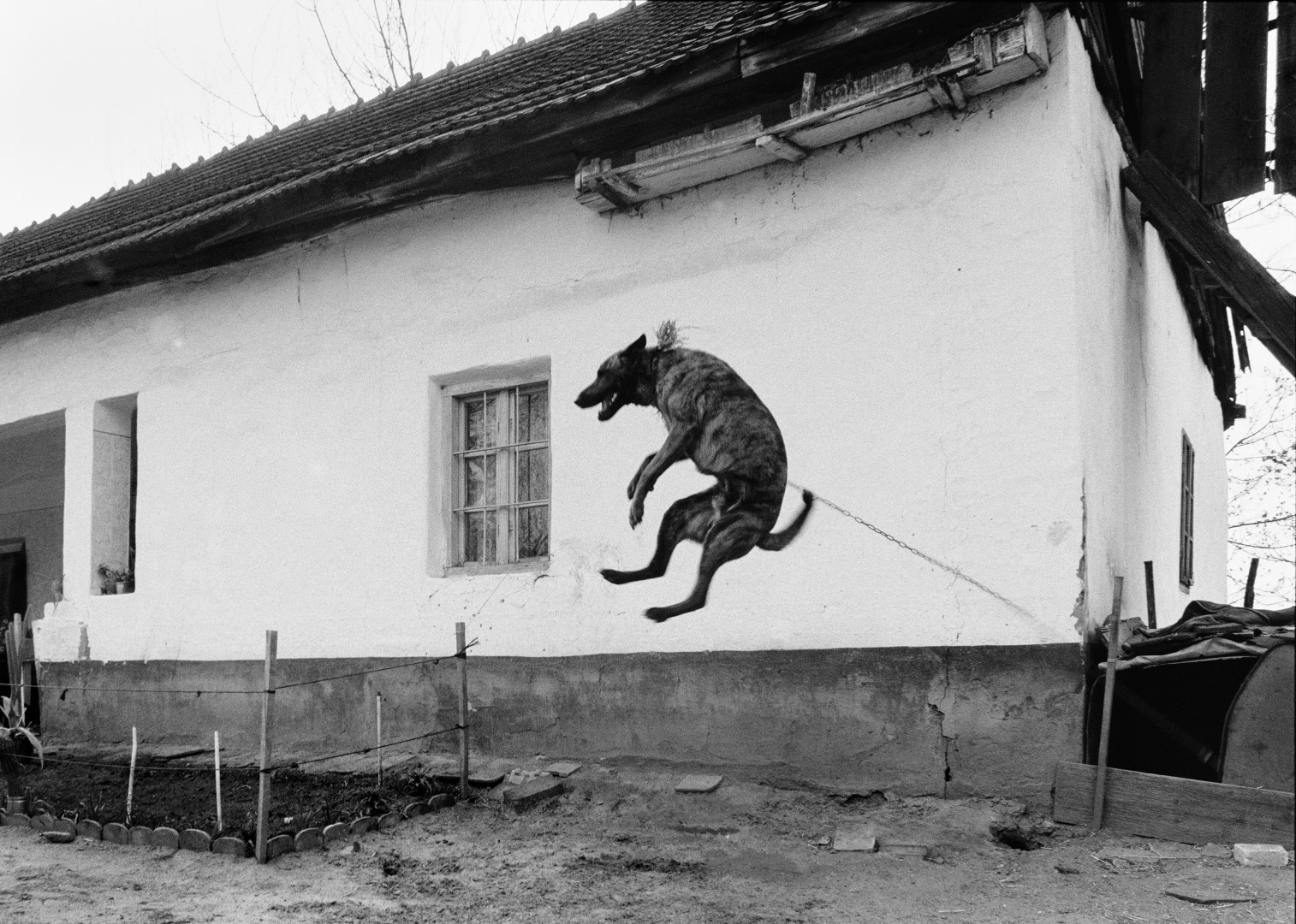 Fotó: Walter Péter, Tanya II., Soltvadkert I Homestead II, Soltvadkert, Hungary, 1983 © Walter Péter