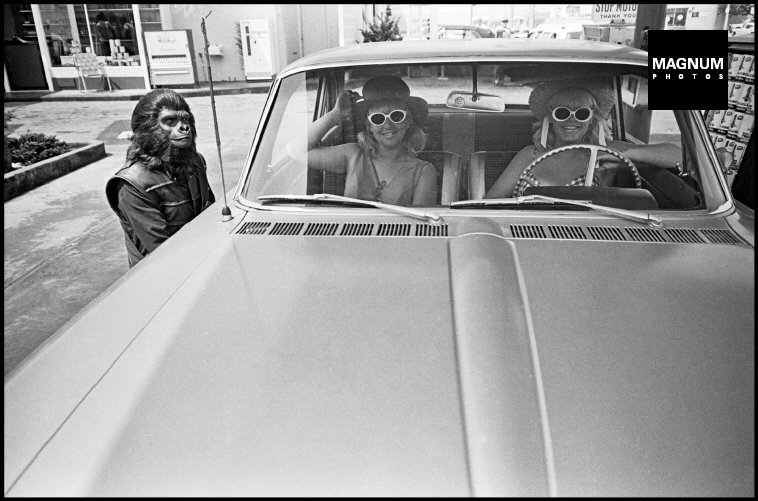 Fotó: Dennis Stock: A Majmok bolygója forgatásán, Kalifornia, 1967 © Dennis Stock/Magnum Photos