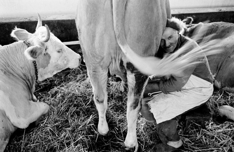 Fotó: Elliott Erwitt: Magyarország, 1964 © Elliott Erwitt / Magnum Photos