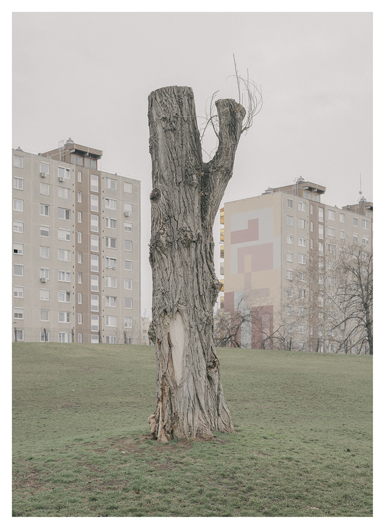 Fotó: Varga Domonkos: Untitled (surface) (a Res Materialis c. sorozatból), 2019