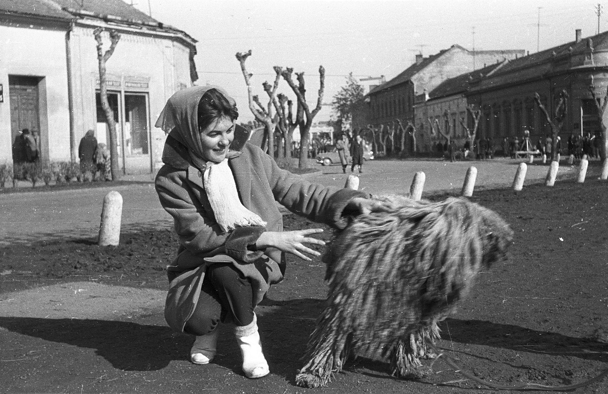 Fotó: Hősök parkja, balra a Dózsa György utca, szemben a Szabadság utca. Mohács, Magyarország, 1964 © Fortepan / Krantz Károly