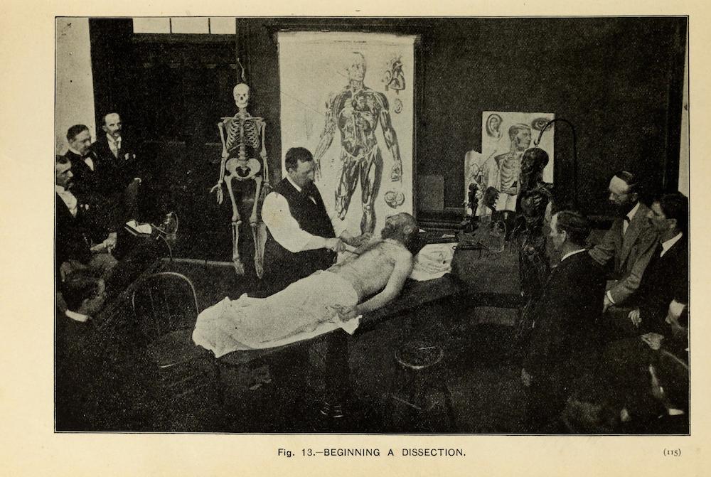 Fotó: Részlet a The Champion Text Book on Embalming című könyvből, 1897