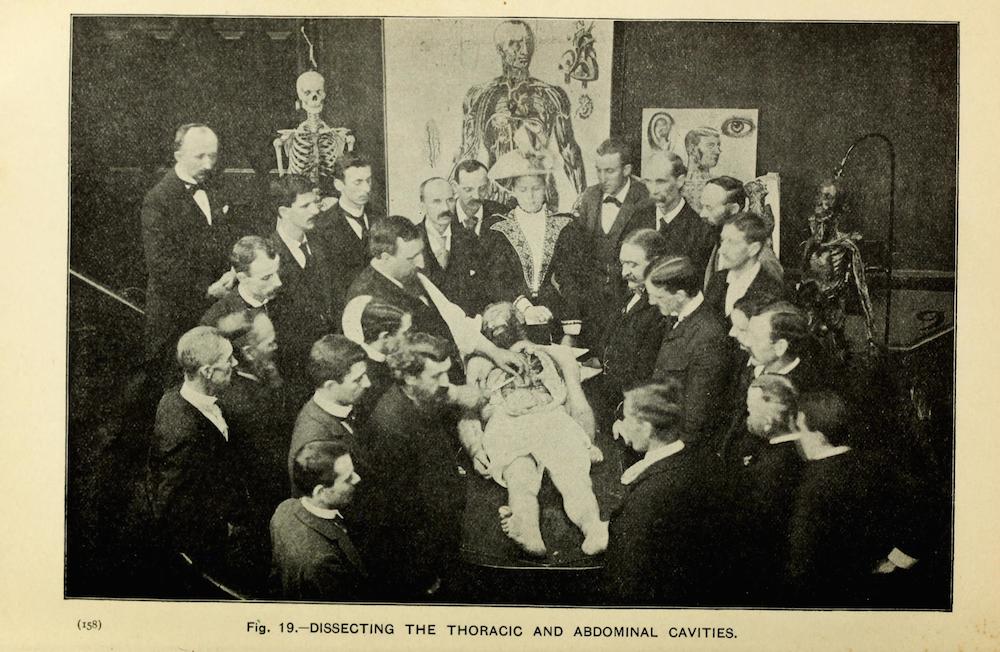 Fotó: Részlet a The Champion Text Book on Embalming című könyvből, 1897