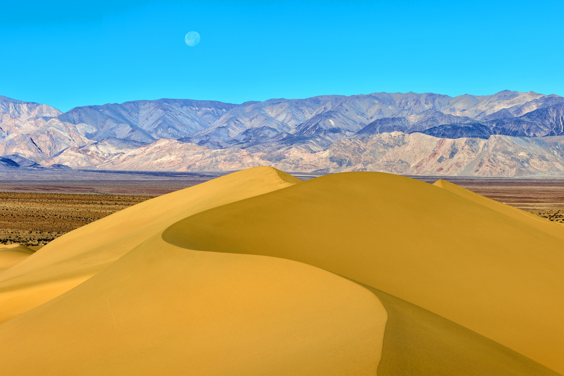 Fotó: Németh Tamás: Homokdűne hold-nyugtával<br />Kategória: Tájak<br />Helyezés: 1. díj<br /><br />Mesquite Flat Dunes homokbuckái és a majdnem telihold lenyugvó koronája, amely közelíti a horizontot a Death Valley Nemzeti Parkban, Kalifornia, Egyesült Államok. Az alapos felkészülés ellenére, egyes fotók a túra során sokkal nehezebben jöttek össze a tervezettnél. A pokoli klíma és a homokvihar mellett a turisták nyomai se tettek jót az előre megálmodott képnek. Ezért harmadszorra is nekifutottam a dűne meghódításának, ezúttal hajnalban, miután a vihar kisimította a homok felületét. A minél részletesebb végeredmény érdekében panoráma technika alkalmazását választottam. A táj mélysége megkívánta, hogy az egyes részeket fókusz sorozattal rögzítsem, így összesen 36 felvételből jött létre az alkotás.