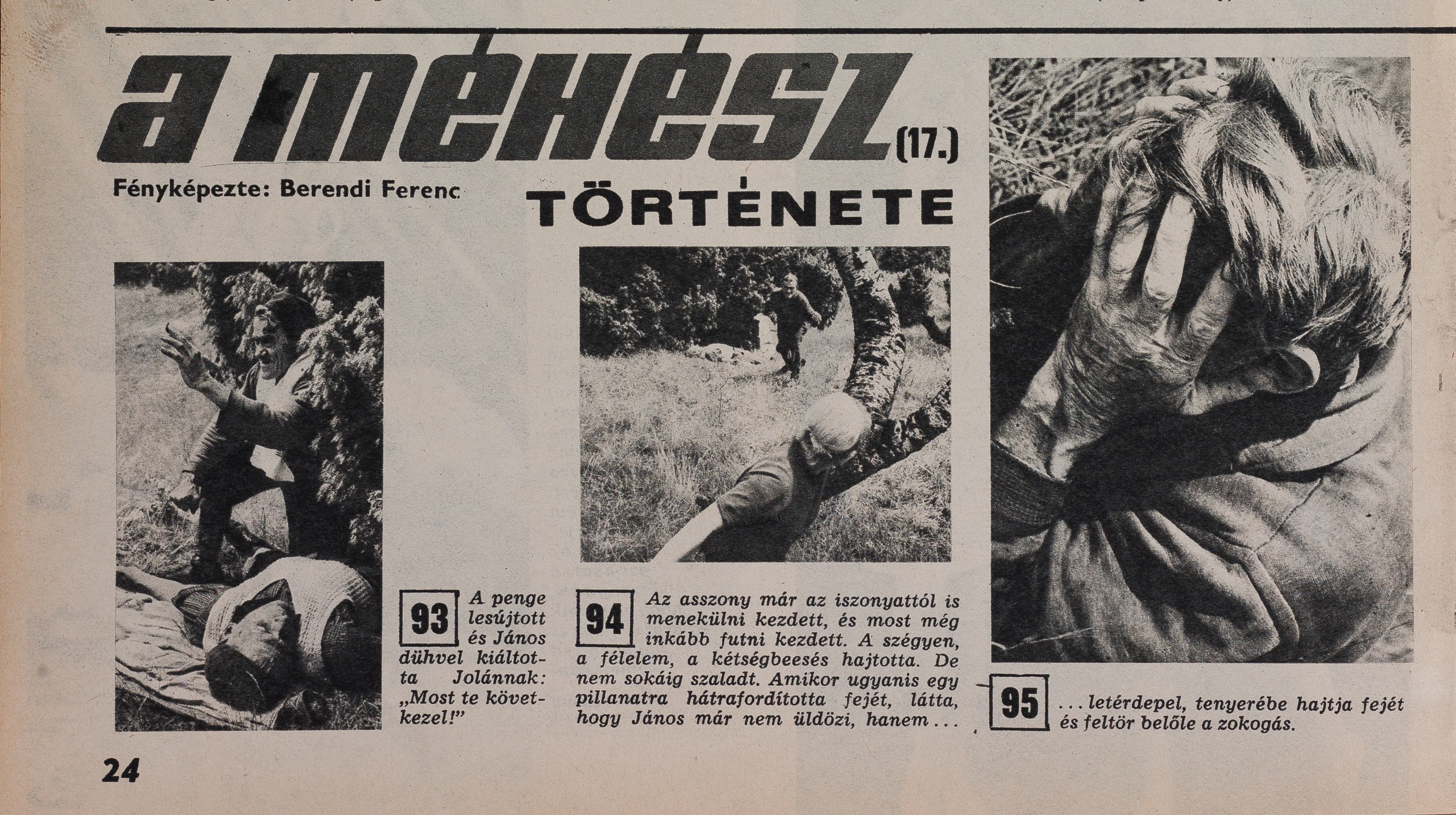 KÚ – 1971. XII. évf. 21. sz. 24-25. o.<br />A méhész története 17. rész <br /><br />A MÉHÉSZ TÖRTÉNETE 1-18. rész<br />fényképezte: Berendi Ferenc<br />KÉPES ÚJSÁG – 1971 XII. évf. 5.- 22 szám 24-25. o.<br />