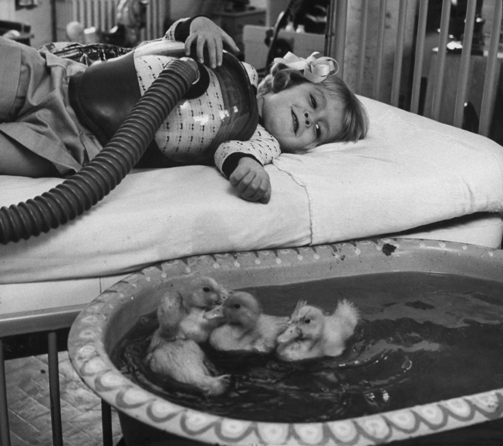 Fotó: Francis Miller: Peggy Kennedy, gyermekbénulásos beteg, műanyag mellkasi légzőkészülékkel. Michigani Egyetemi kórház, Ann Arbor, 1956 © The LIFE Picture Collection/Getty Images