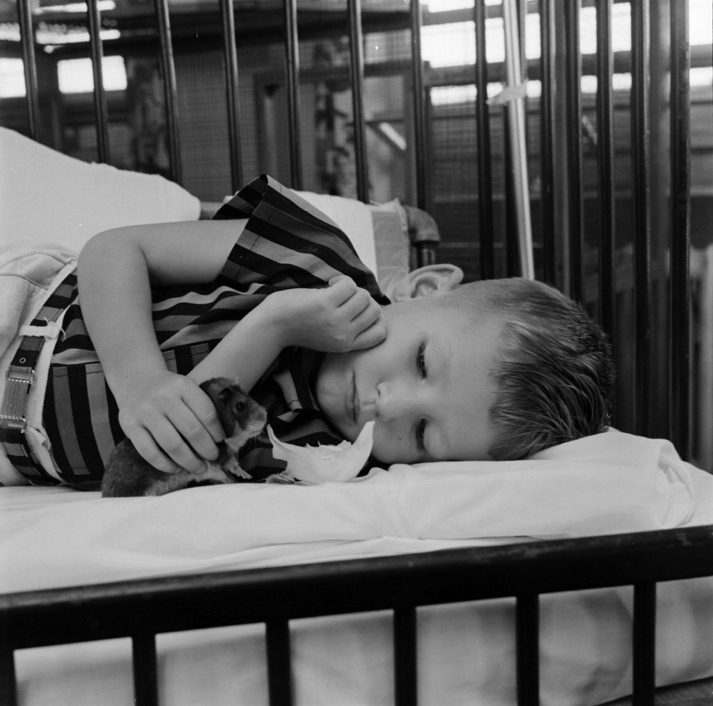 Fotó: Francis Miller: Etetés. Michigani Egyetemi kórház, Ann Arbor, 1956 © The LIFE Picture Collection/Getty Images