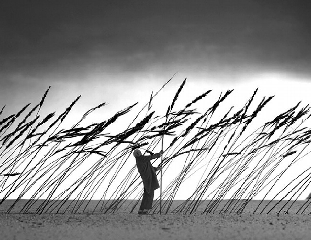 Fotó: Gilbert Garcin: A természet védelme, 2010 © Gilbert Garcin