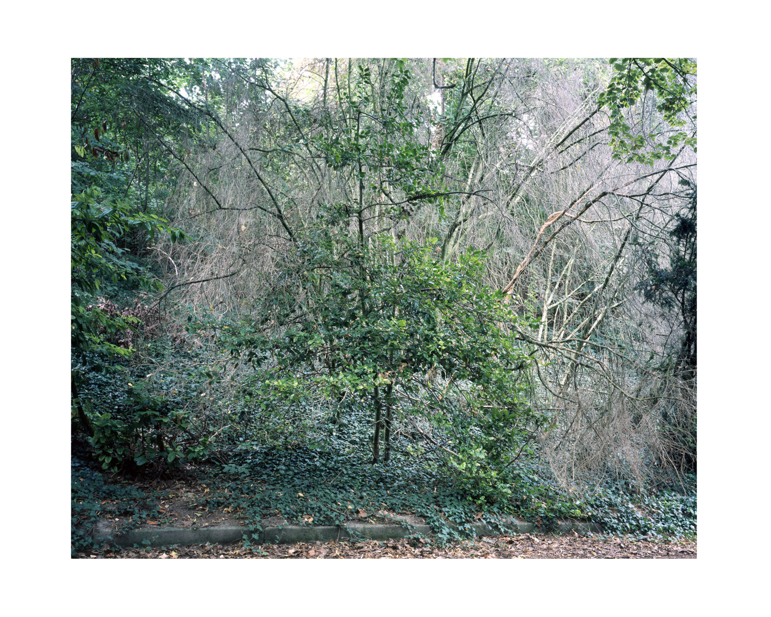 Fotó: Hernád Géza: Balatonaliga, 2017-2019 © Hernád Géza