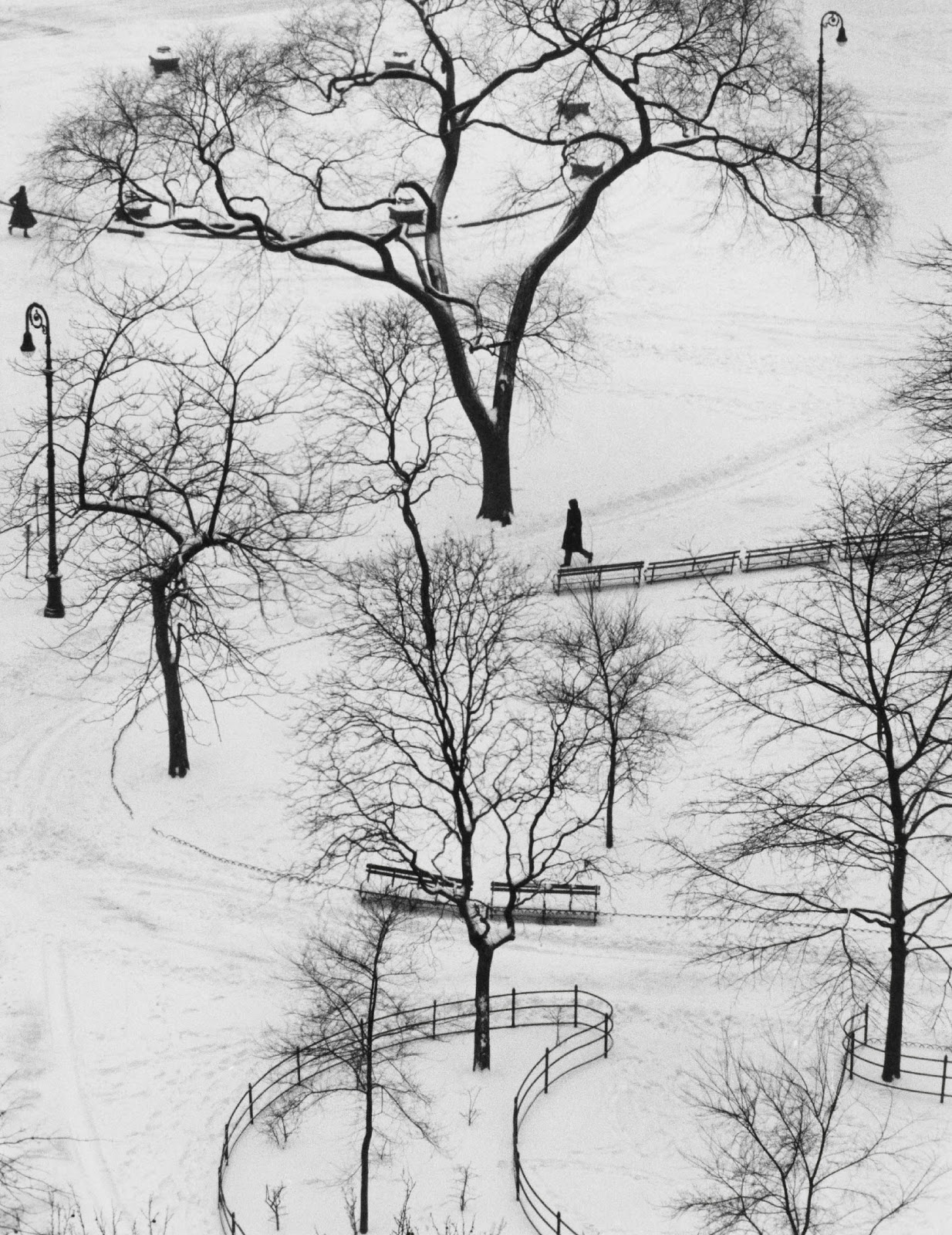 André Kertész - Washington Square, Winter, 1954.jpg