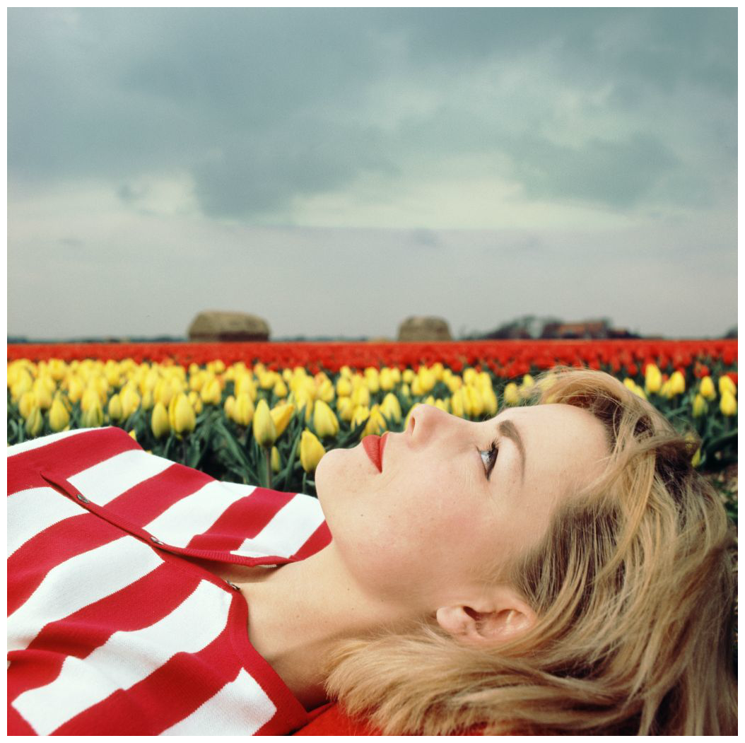 girl-lying-in-field-kees-sherer.png