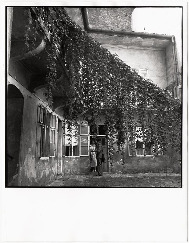 Fotó: Kálmán Kata: Udvar vadszőlővel 1935. k. © Magyar Fotográfiai Múzeum