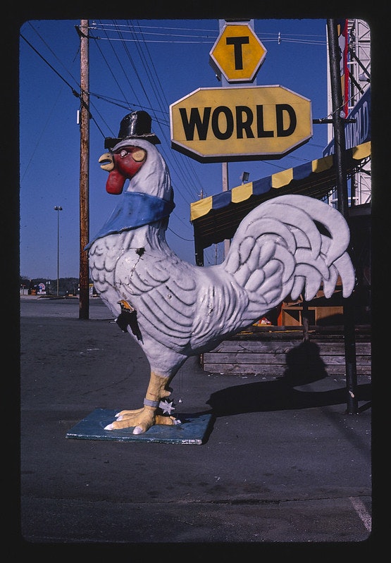 Fotó: John Margolies: Kakasszobor a Shirt World mellett, Route 441, Pigeon Forge, Tennessee, 1984